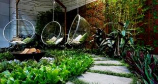 5 Desain Taman Minimalis Belangkang Rumah Cantik dan Menawan
